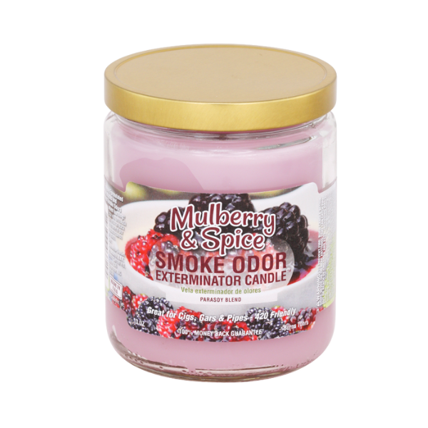 Smoke Odor Candle / Mulberry And Spice